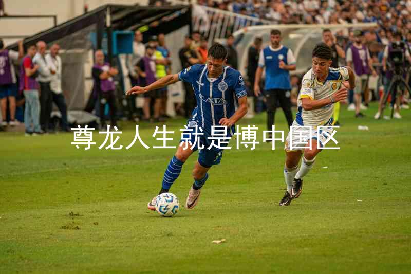 尊龙人生就是博中国区