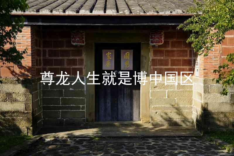 尊龙人生就是博中国区