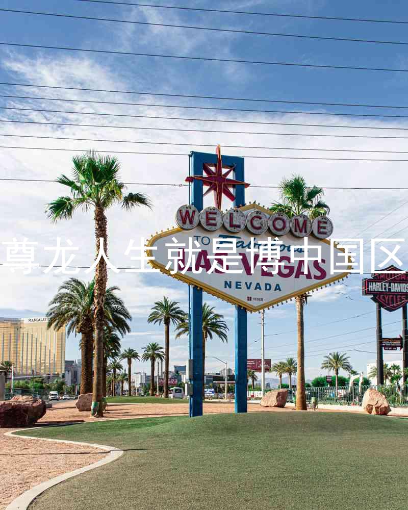 尊龙人生就是博中国区